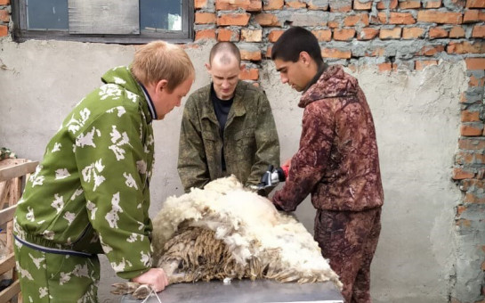 Основы фермерского хозяйства