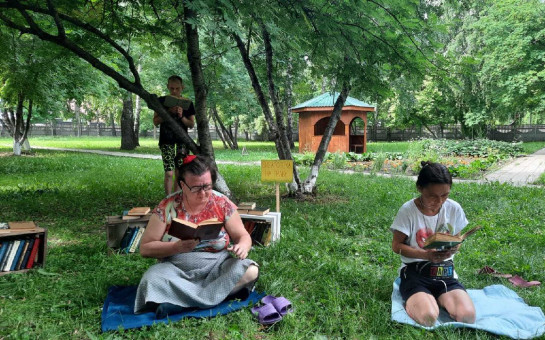 Библиотека на траве
